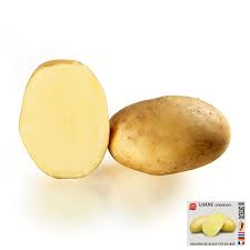 PATATE SEME LOANE CAL. 28/35 KG25