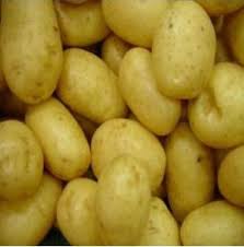 PATATE SEME MARABEL 35/55 KG25
