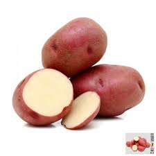 PATATE SEME DESIREE CAL.35/55 KG25